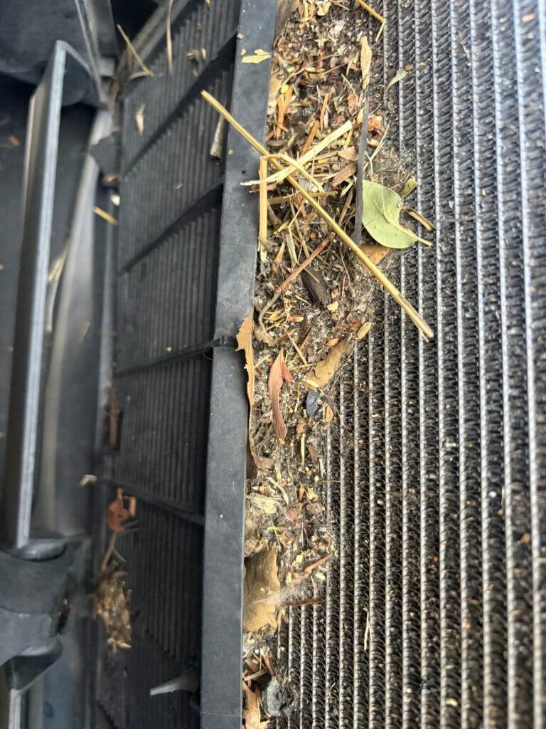 Leaves, pine needles and compacted debris filling the gap between Tesla AC condenser and radiator
