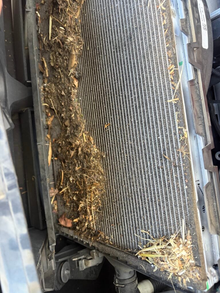 Tesla Model 3 condenser and radiator stack packed with leaves, pine needles, and debris causing Speed Limited warning